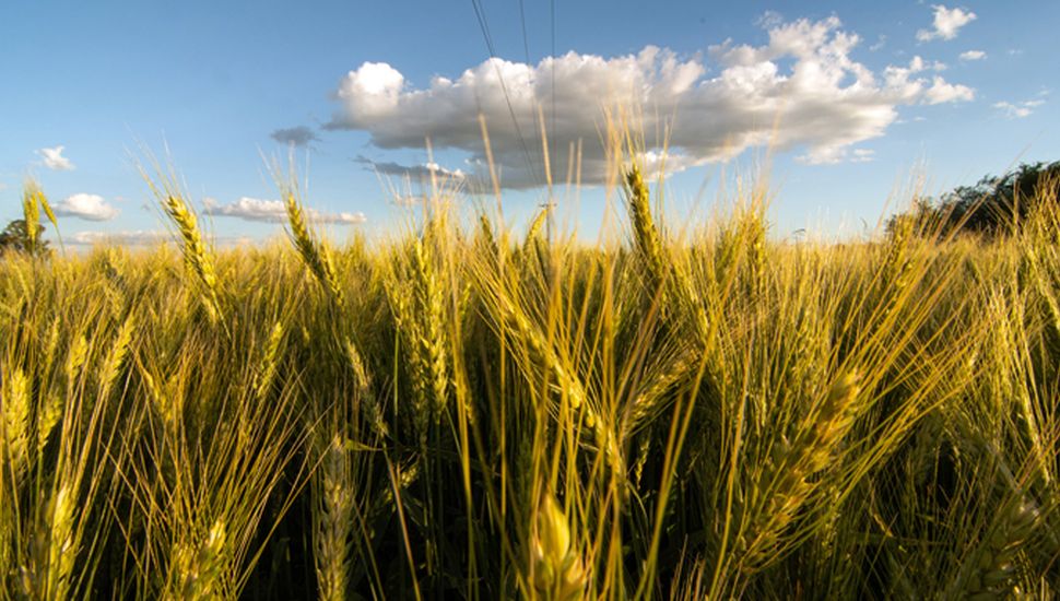 Fuerte caída de la actividad económica en abril