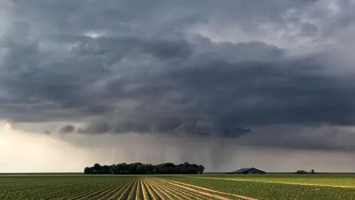Se disipa el fenómeno de La Niña y mejora el panorama para la soja y el maíz: el verano se encamina sin largos períodos secos
