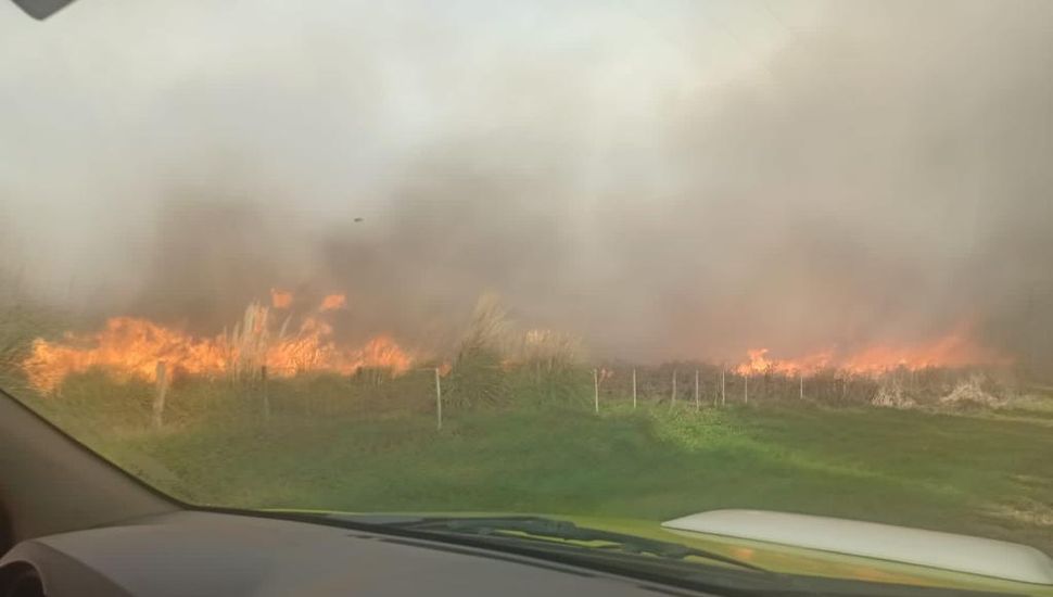 Una quema “controlada” provocó un incendio forestal en Junín