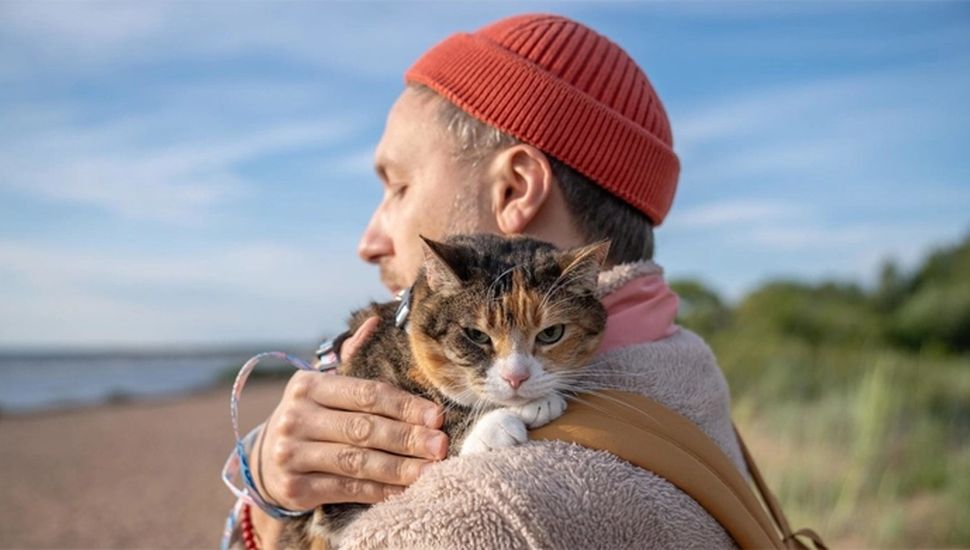Despidieron a un hombre por pedir licencia por la muerte de su gato y luego ganó el juicio