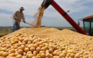 Se registró un récord en la exportación agrícola durante noviembre