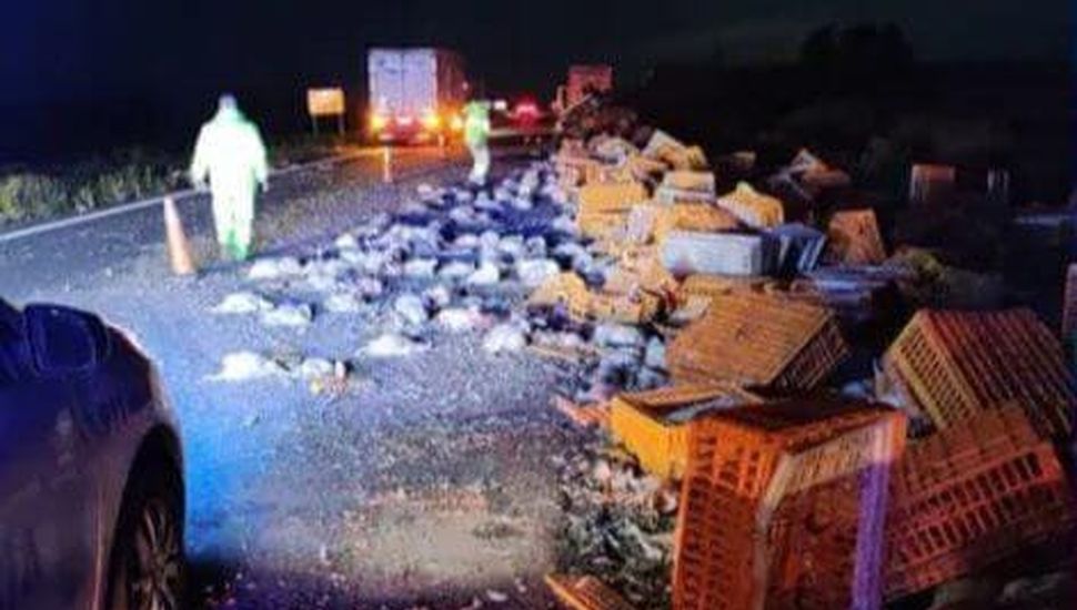 Ruta N° 8: dos camiones volcaron en el mismo tramo en las últimas 48 horas