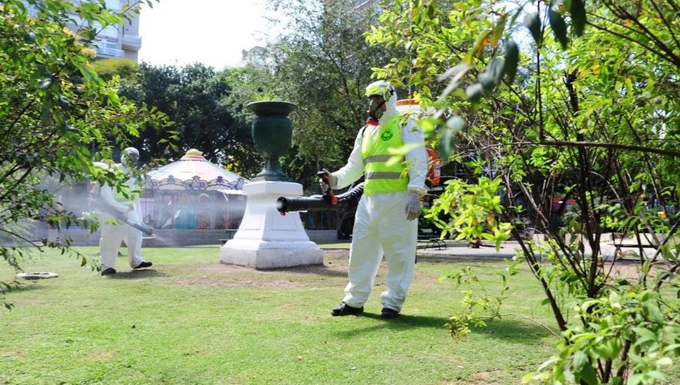 En la última semana los casos de dengue subieron un 47%