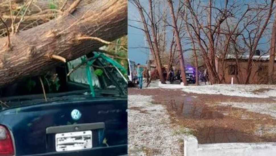 Tormenta fatal en Mendoza: un hombre murió aplastado por un árbol al intentar proteger su auto del granizo