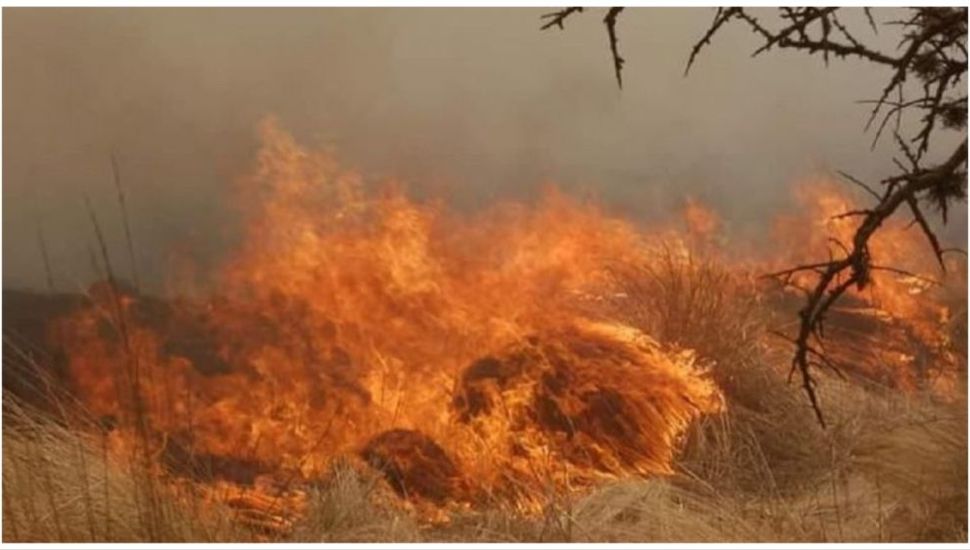 Incendios en San Luis y Córdoba: evacuados y viviendas destruidas