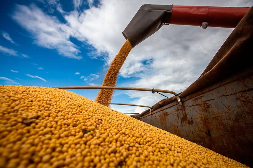 Low grain prices and low profitability