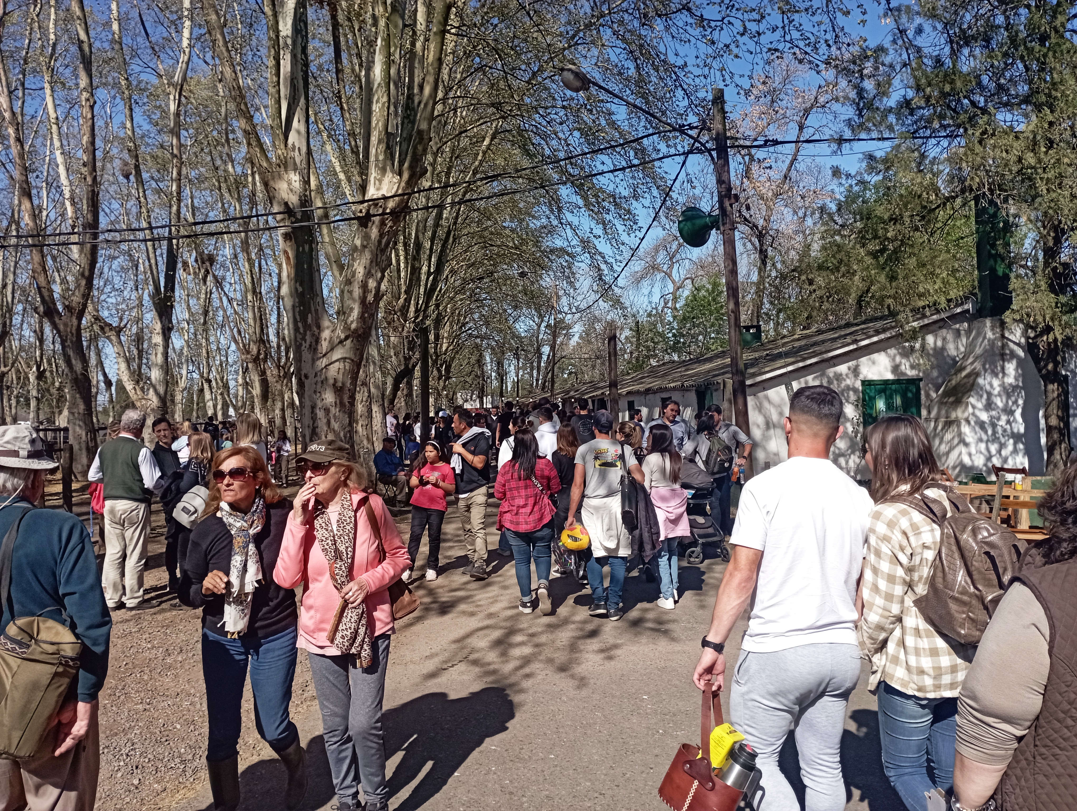 Esta semana se pone en marcha la Expo Rural de Pergamino • Diario Núcleo